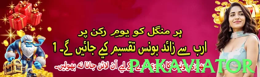 pakaviator Pakistan - 3